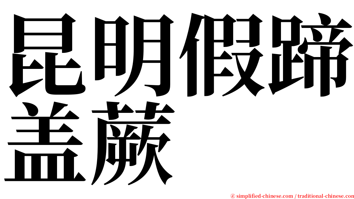 昆明假蹄盖蕨 serif font