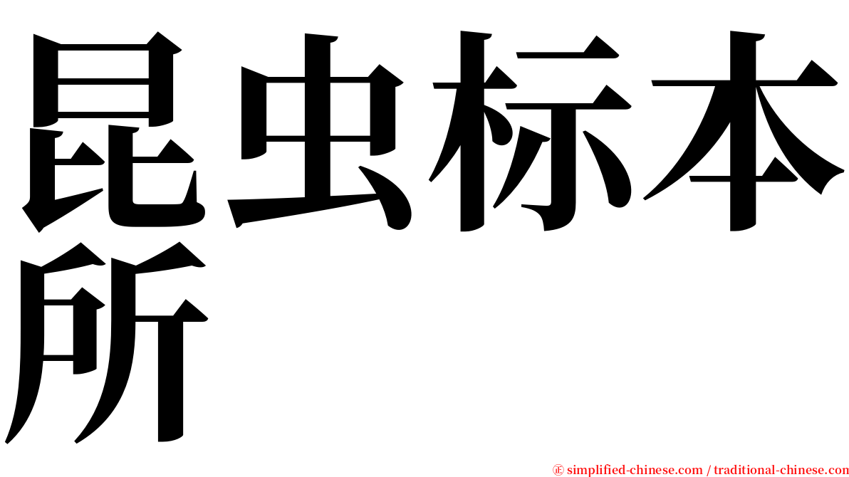 昆虫标本所 serif font