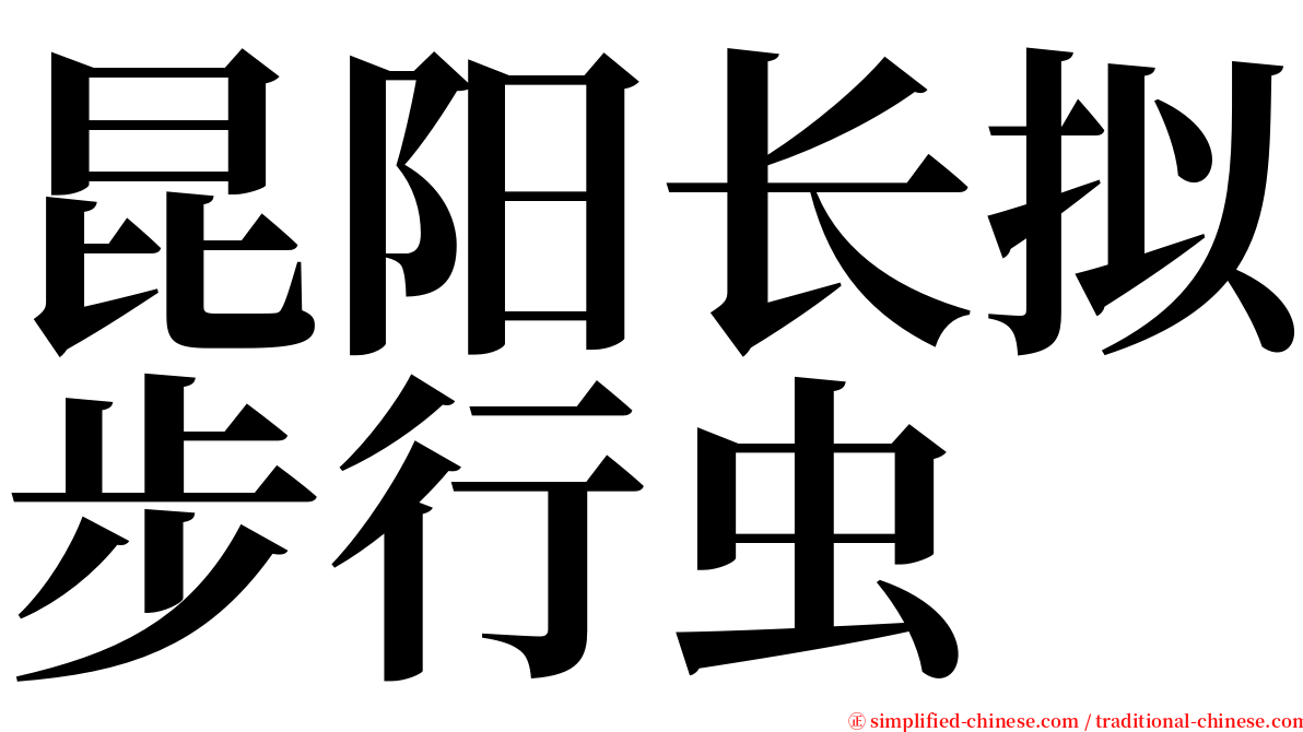 昆阳长拟步行虫 serif font