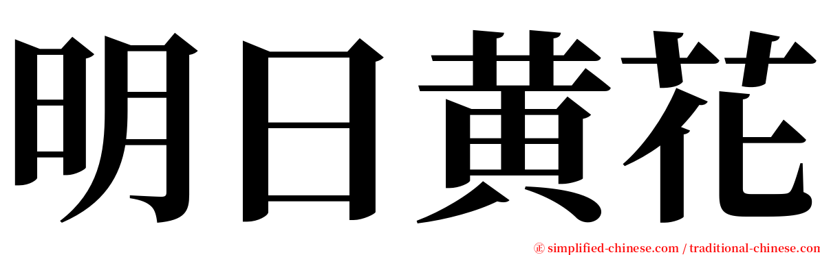 明日黄花 serif font