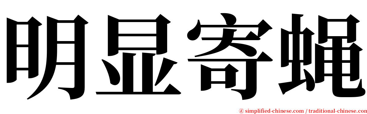 明显寄蝇 serif font