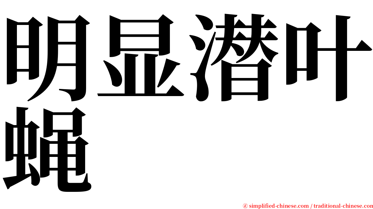 明显潜叶蝇 serif font