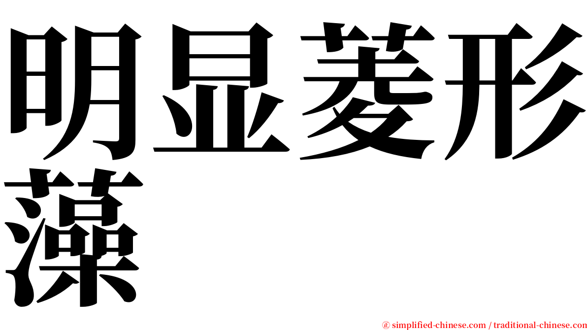 明显菱形藻 serif font