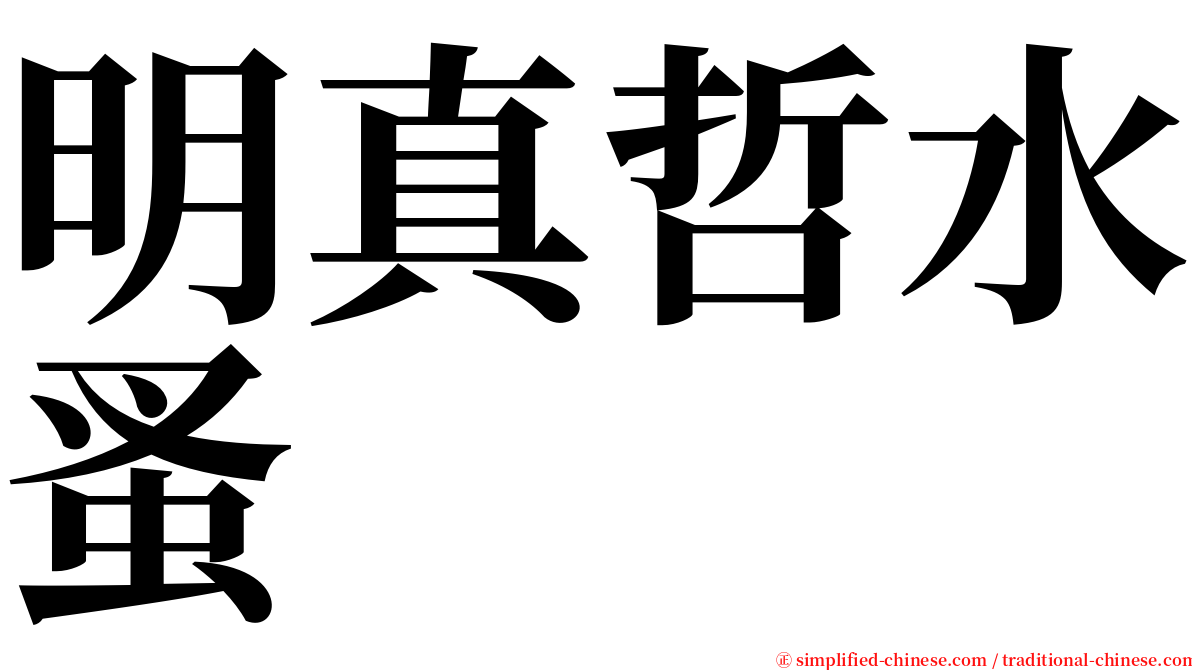 明真哲水蚤 serif font