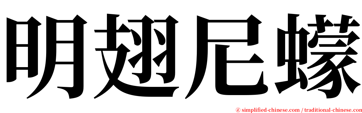 明翅尼蠓 serif font