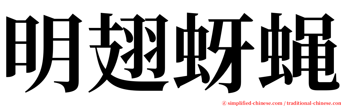 明翅蚜蝇 serif font