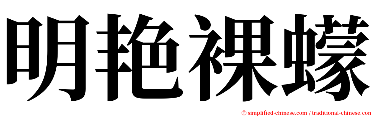 明艳裸蠓 serif font