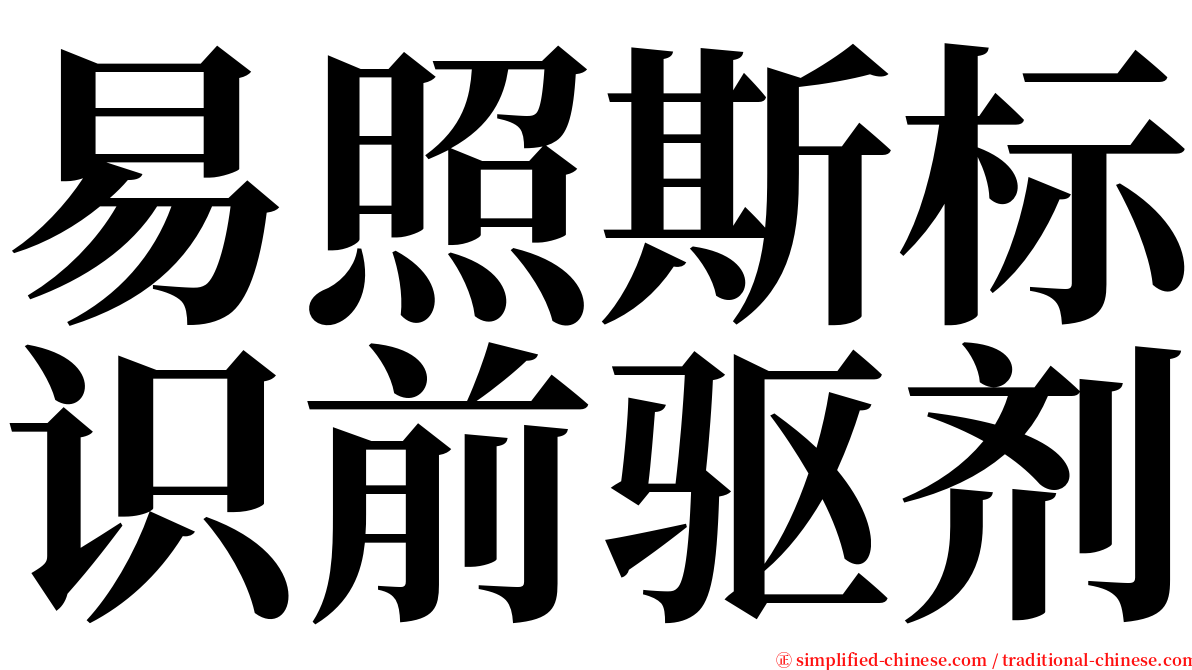 易照斯标识前驱剂 serif font