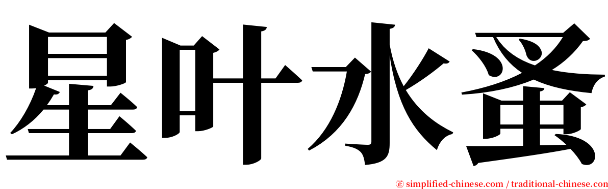 星叶水蚤 serif font