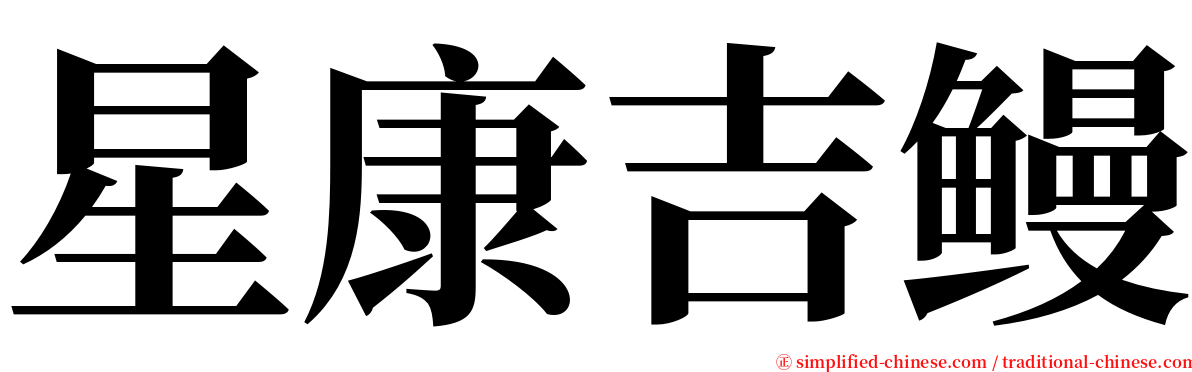 星康吉鳗 serif font