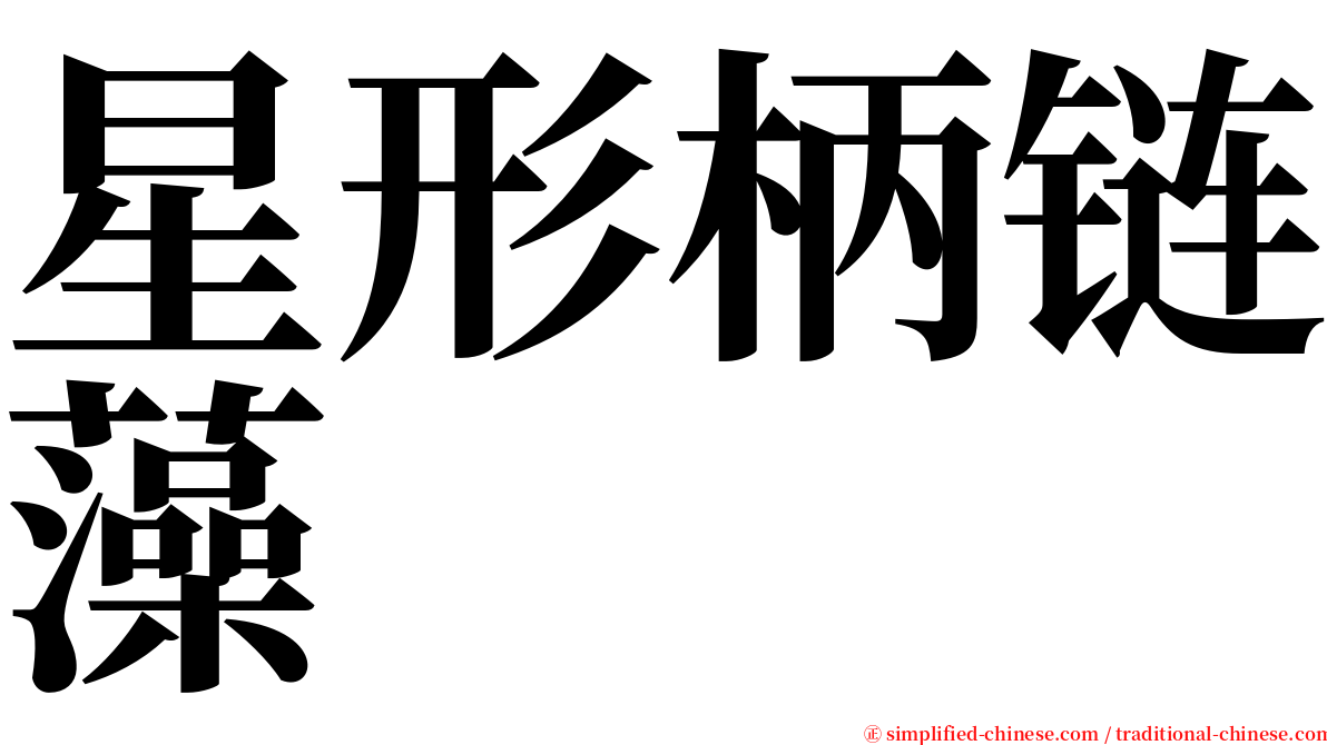 星形柄链藻 serif font