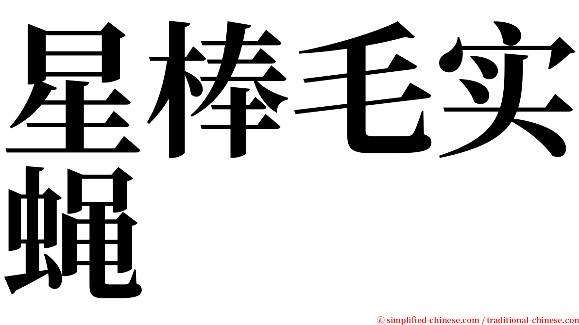 星棒毛实蝇 serif font