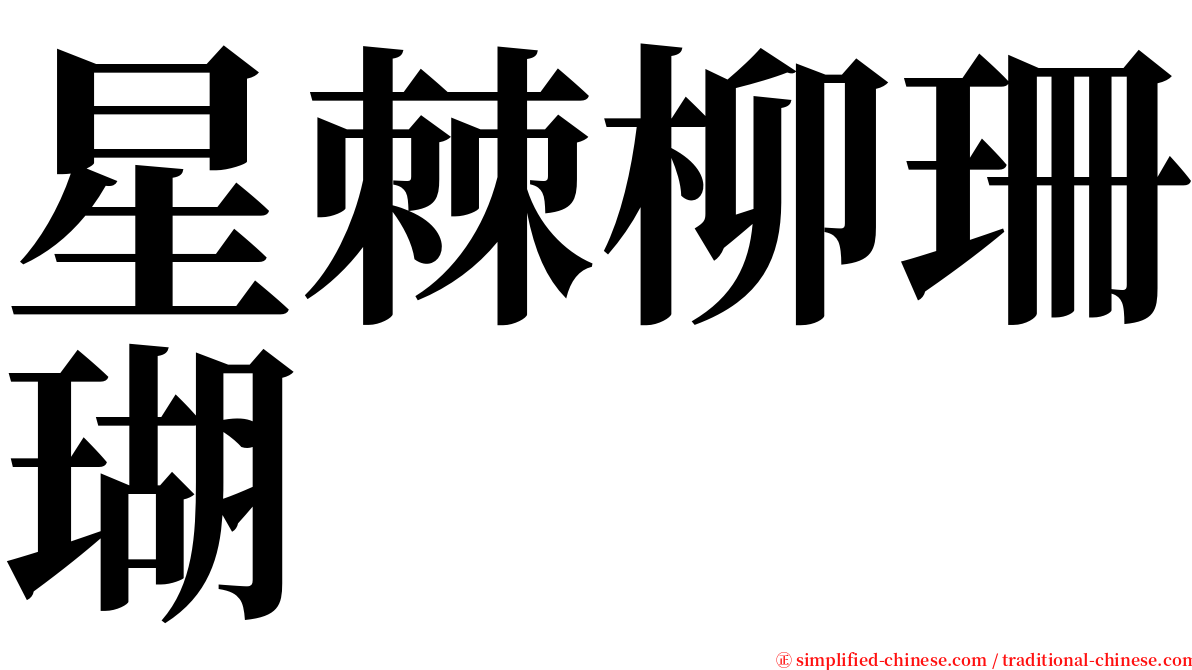 星棘柳珊瑚 serif font