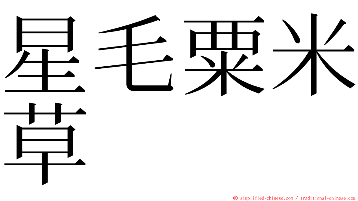 星毛粟米草 ming font