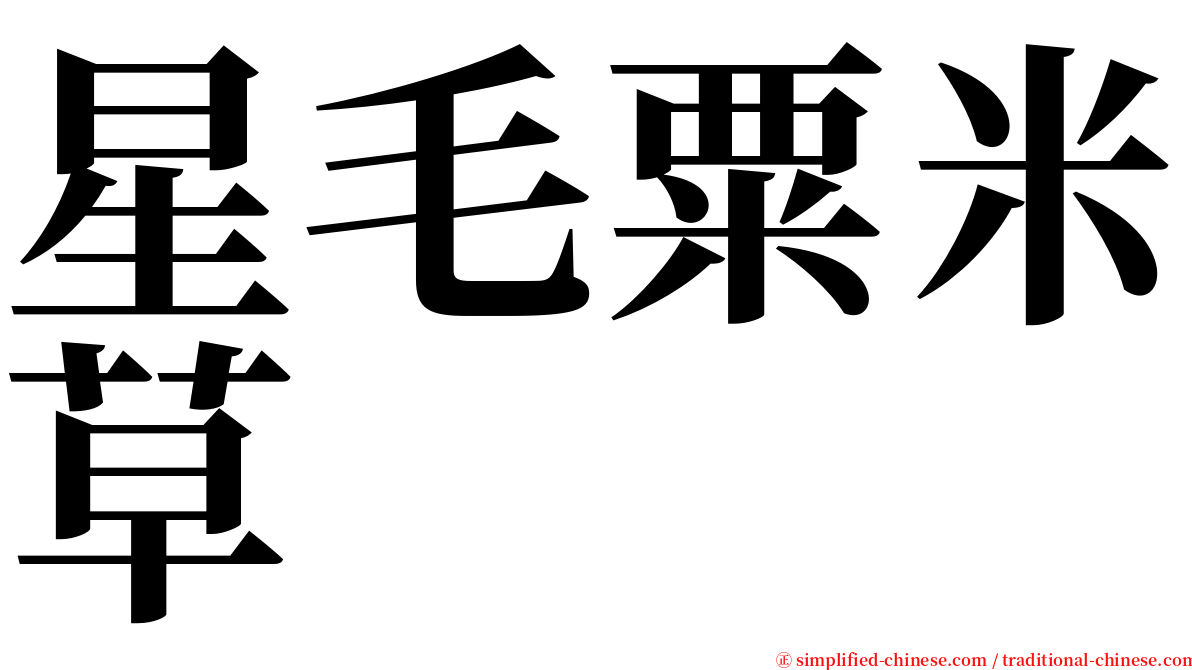 星毛粟米草 serif font