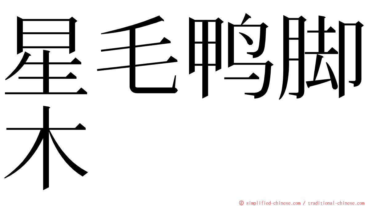 星毛鸭脚木 ming font