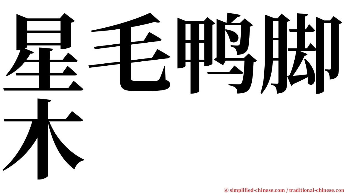 星毛鸭脚木 serif font