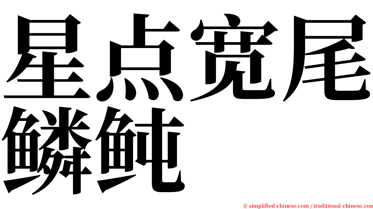 星点宽尾鳞鲀 serif font