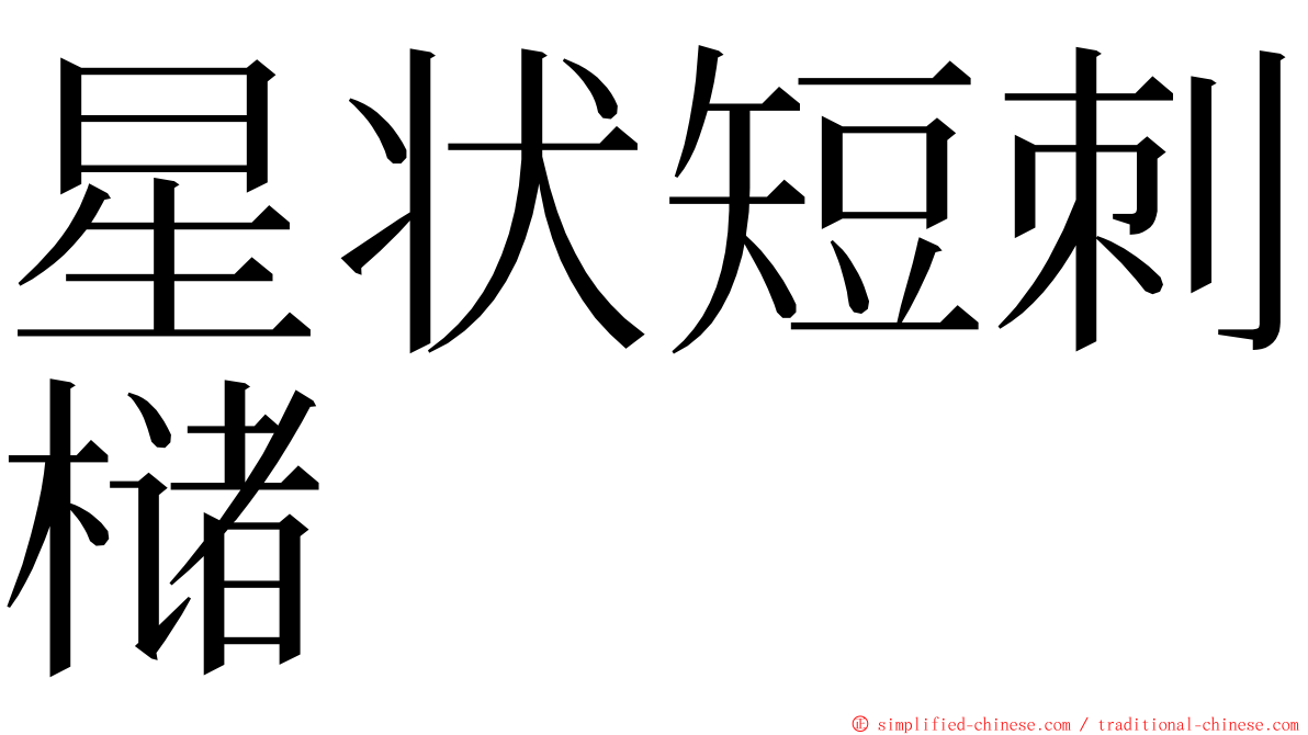 星状短刺槠 ming font