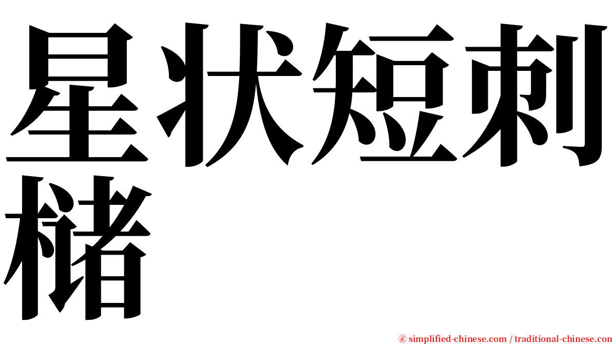 星状短刺槠 serif font