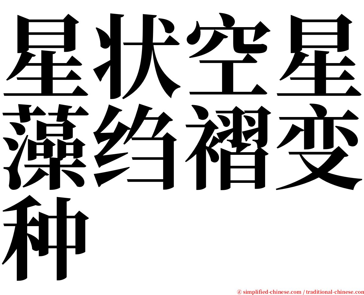 星状空星藻绉褶变种 serif font