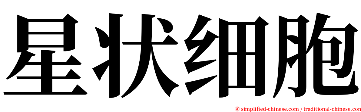 星状细胞 serif font