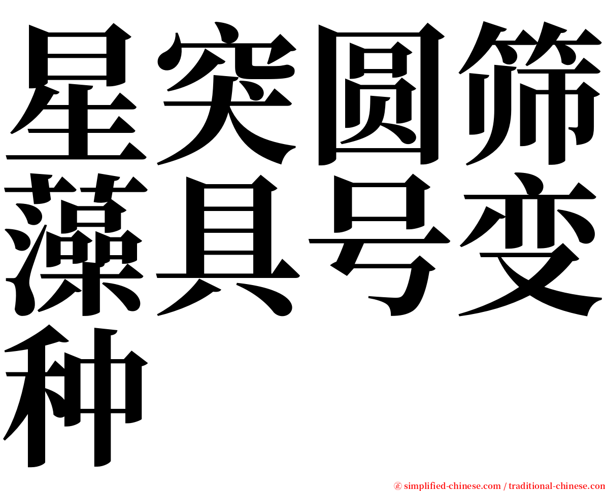 星突圆筛藻具号变种 serif font