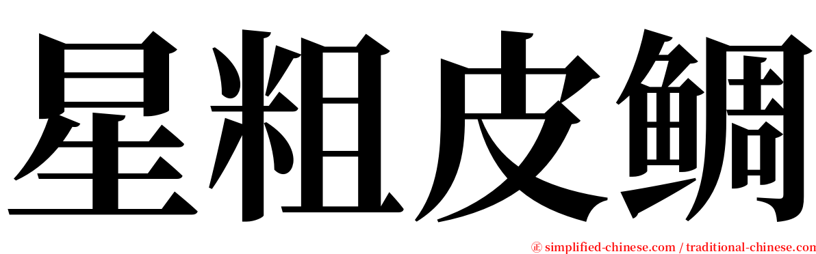 星粗皮鲷 serif font