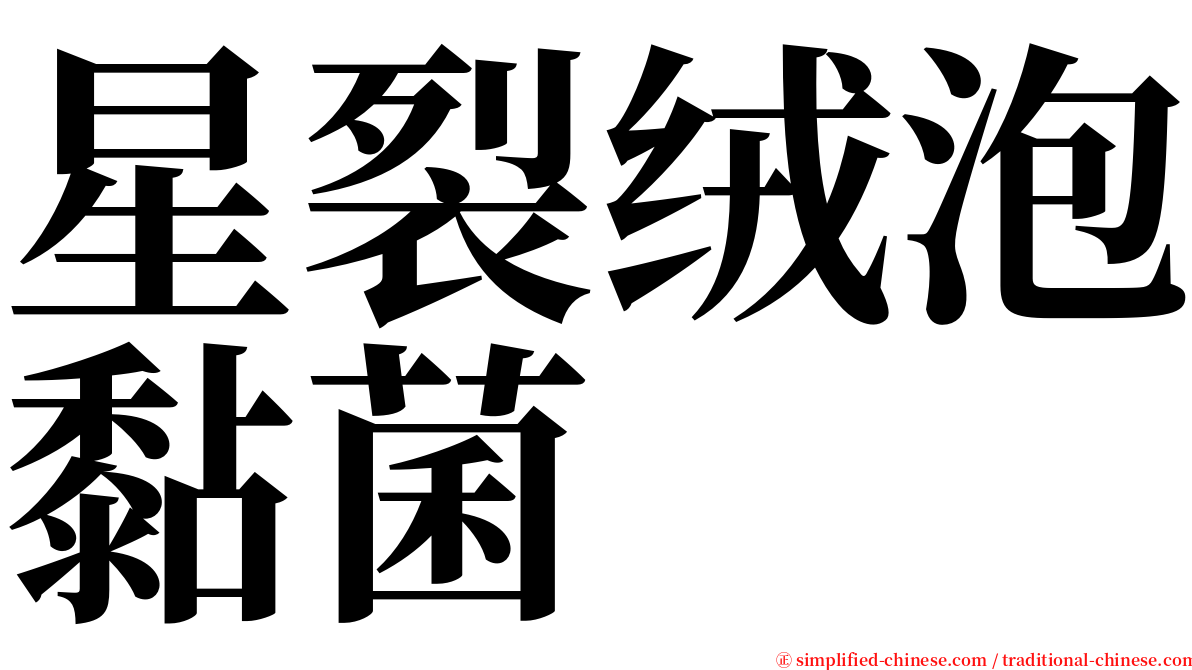 星裂绒泡黏菌 serif font