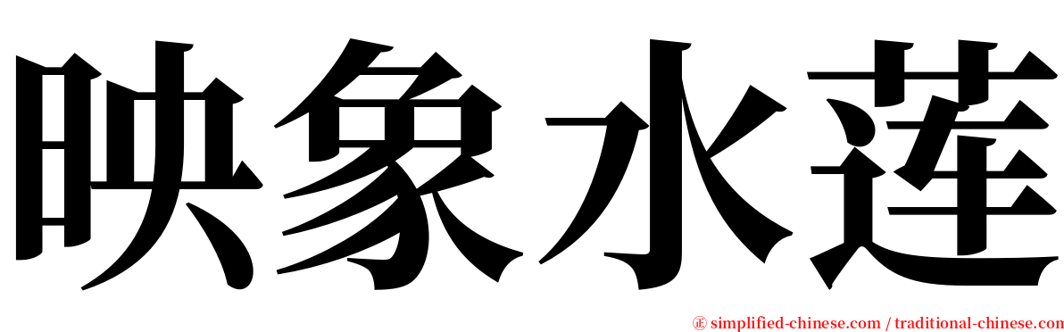 映象水莲 serif font