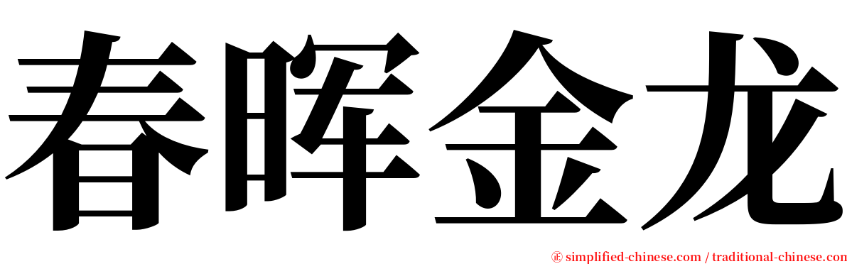 春晖金龙 serif font