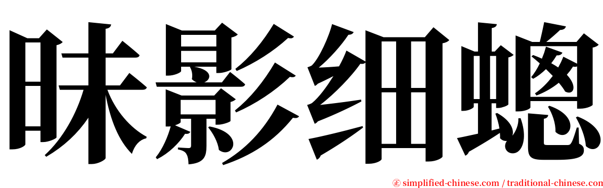 昧影细蟌 serif font