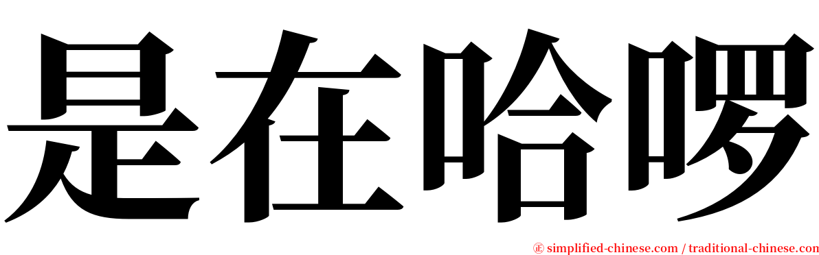 是在哈啰 serif font