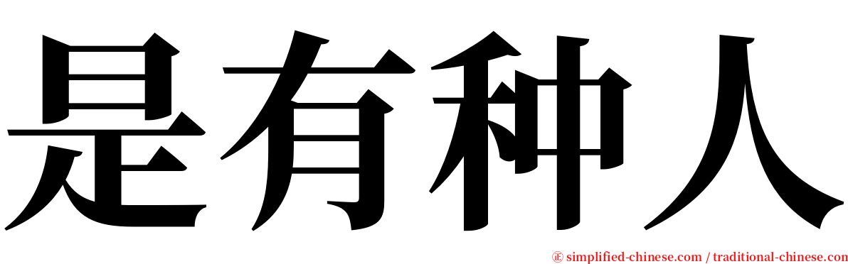 是有种人 serif font