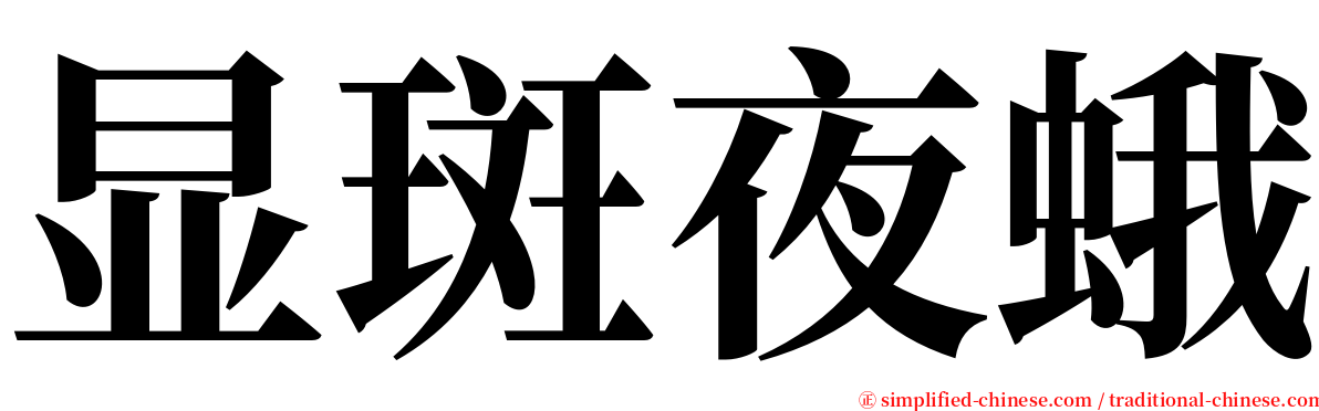 显斑夜蛾 serif font