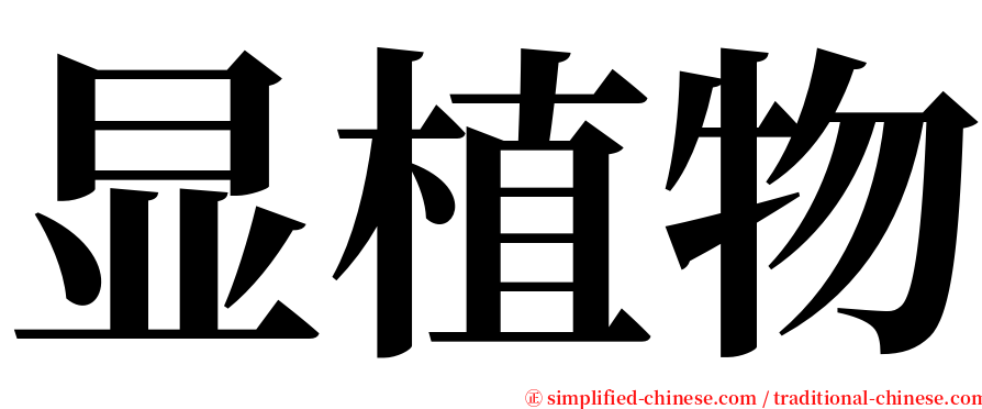 显植物 serif font