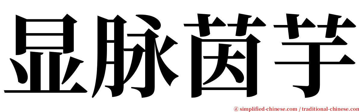 显脉茵芋 serif font