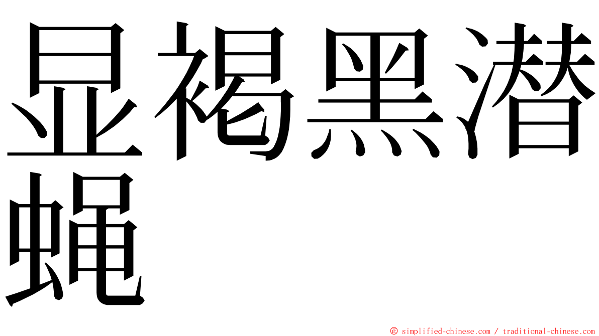 显褐黑潜蝇 ming font