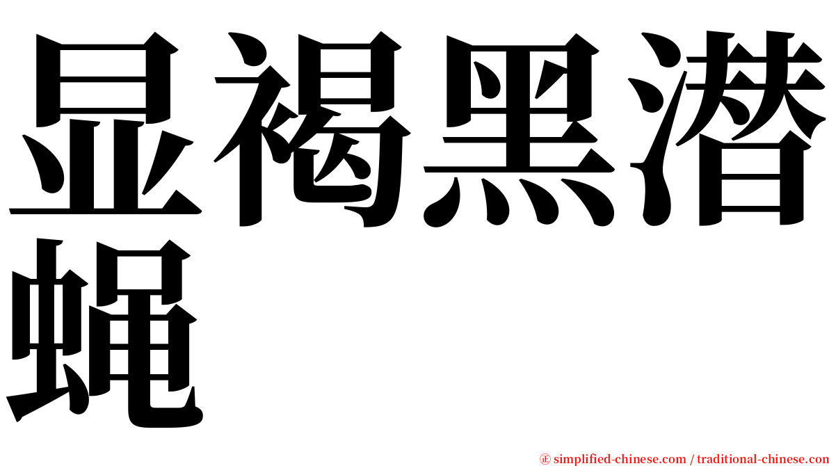 显褐黑潜蝇 serif font