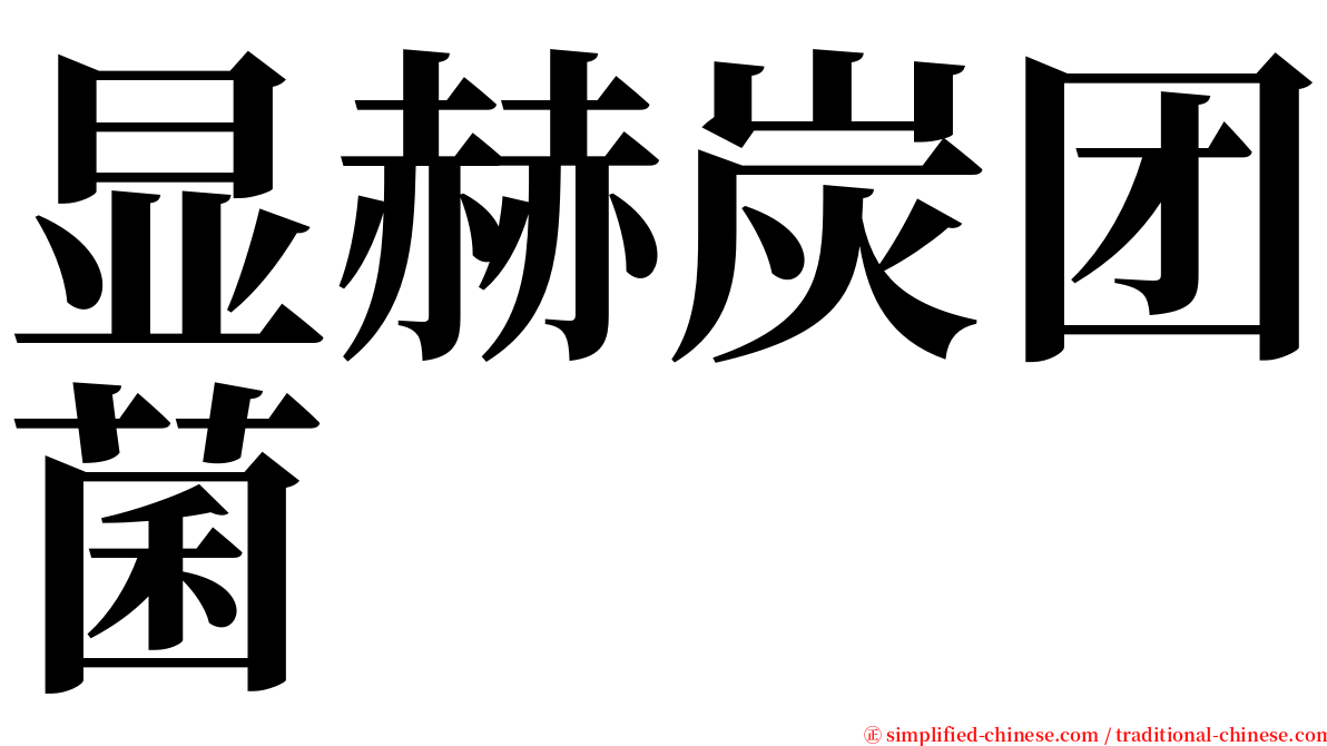 显赫炭团菌 serif font