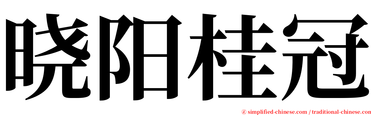 晓阳桂冠 serif font