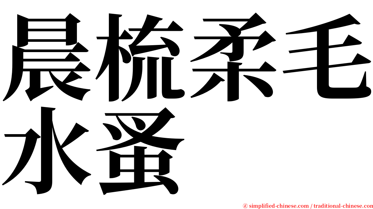 晨梳柔毛水蚤 serif font