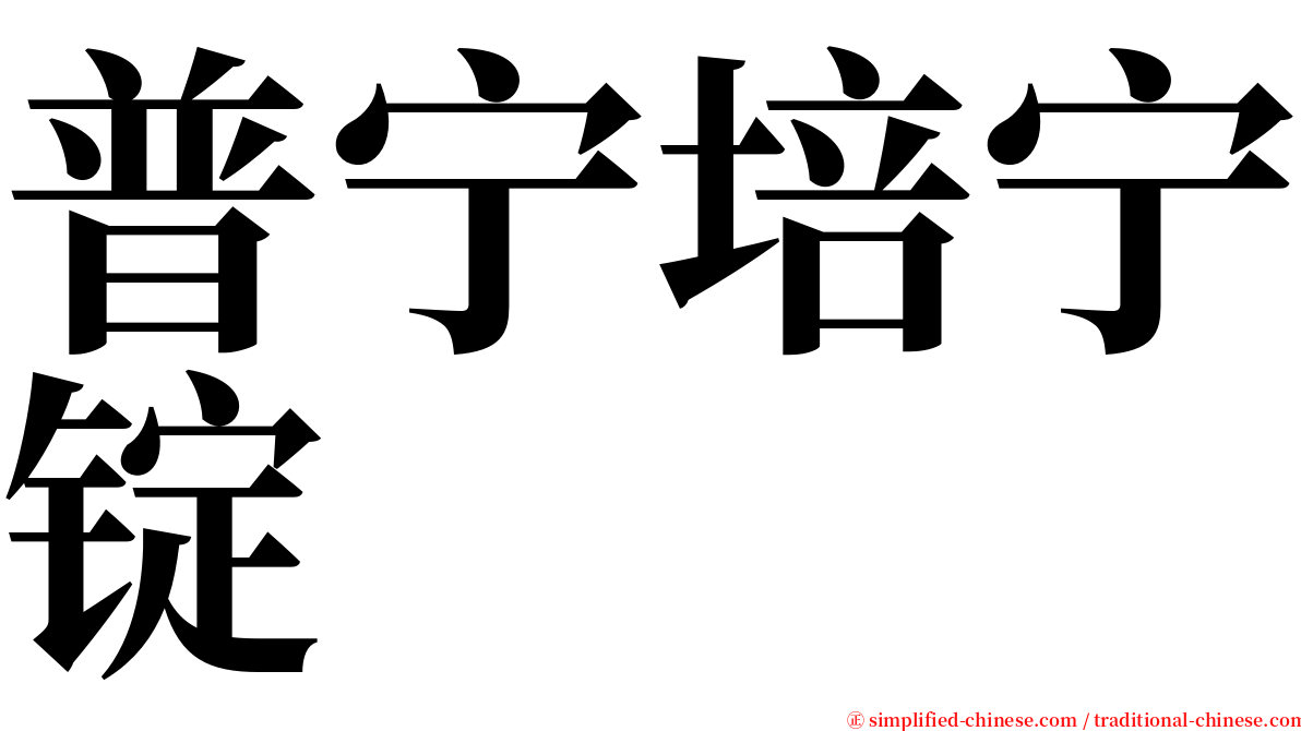 普宁培宁锭 serif font