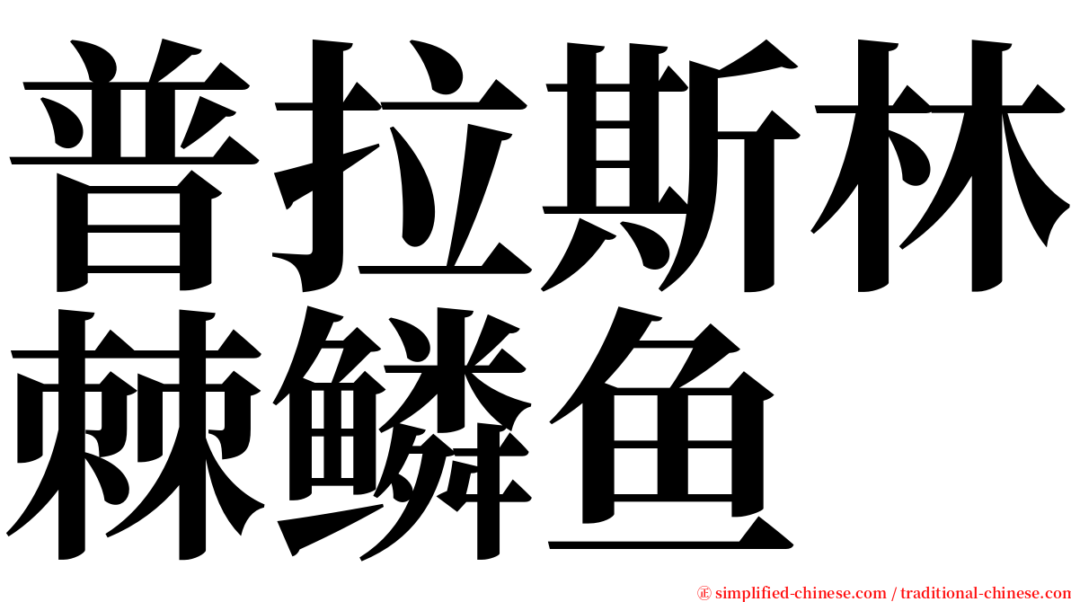 普拉斯林棘鳞鱼 serif font