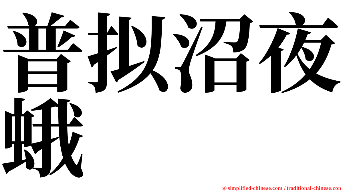 普拟沼夜蛾 serif font