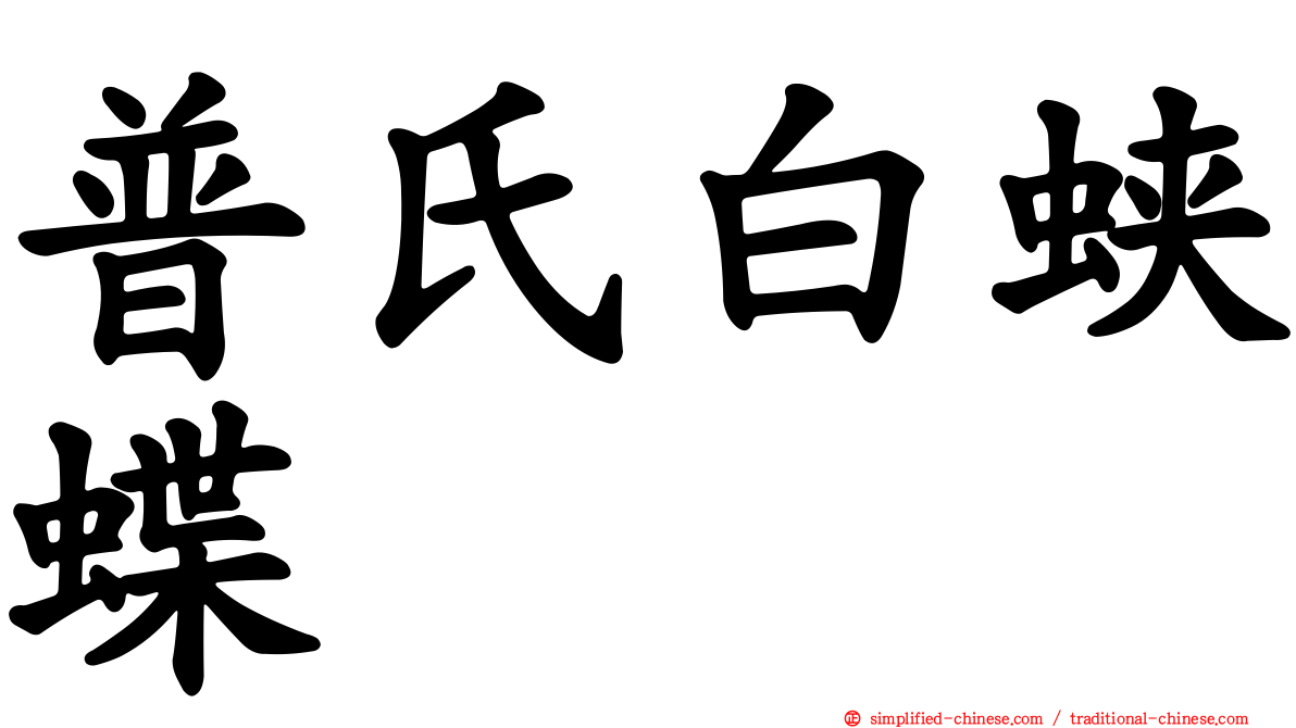 普氏白蛱蝶