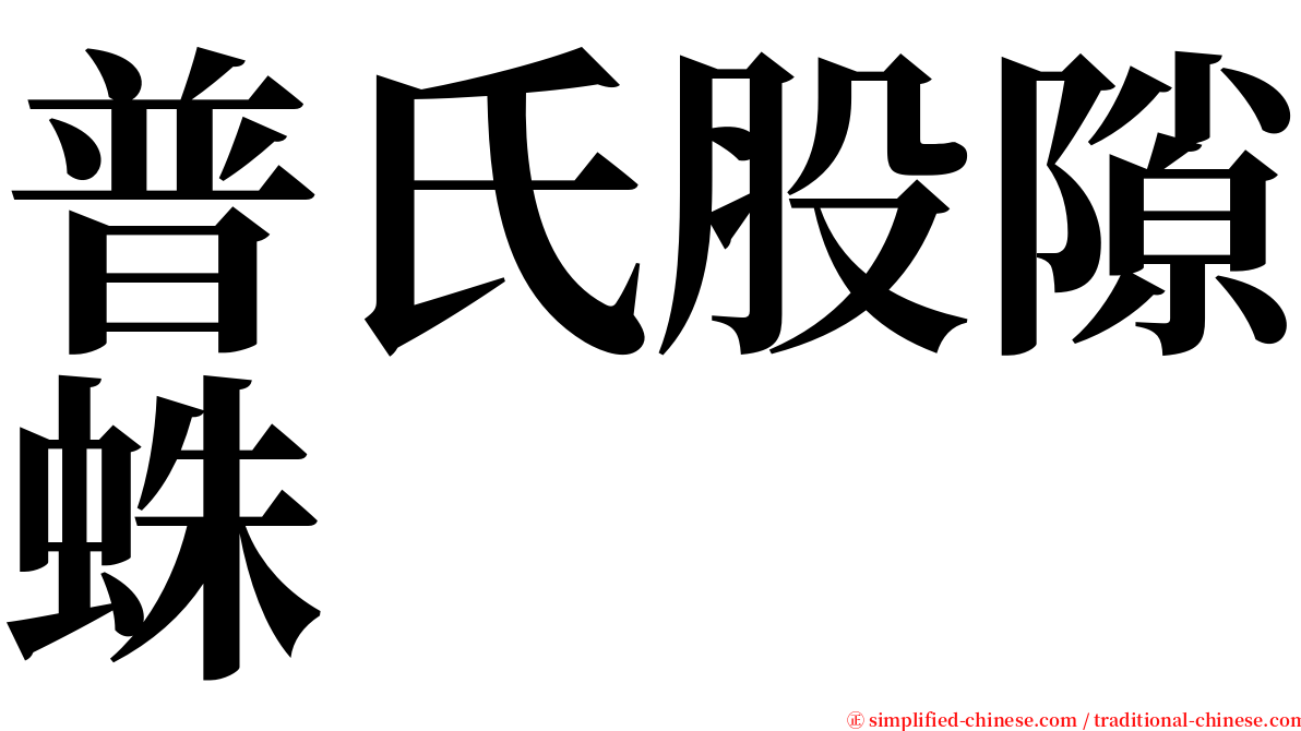 普氏股隙蛛 serif font