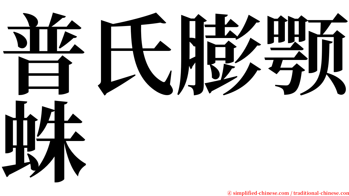 普氏膨颚蛛 serif font