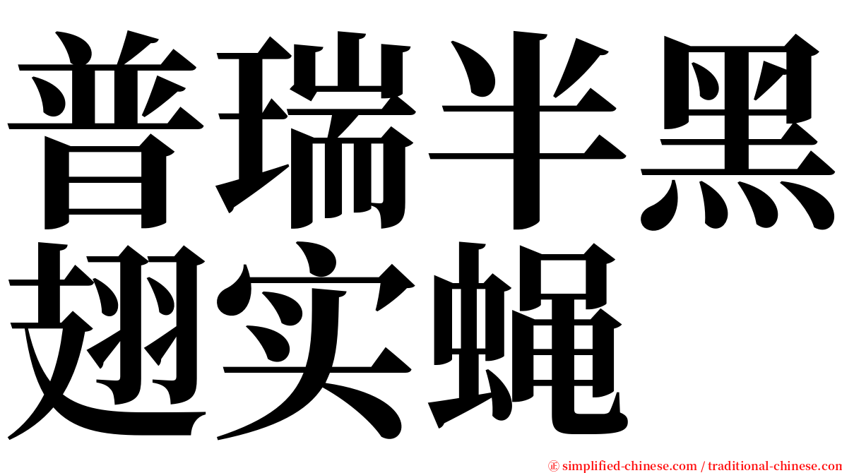 普瑞半黑翅实蝇 serif font