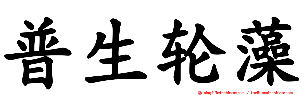 普生轮藻